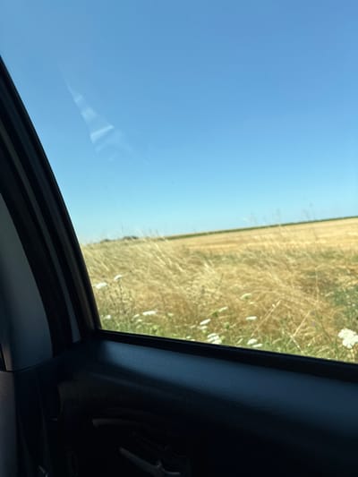 The image shows a view from inside a car looking out the window at a golden field under a clear blue sky. The interior of the car is visible in the foreground, with the dark door panel and part of the window frame on the left. The field appears to be dry grass or wheat, with some white wildflowers scattered throughout. The horizon line is visible in the distance, separating the field from the sky. There are no people or animals in the image. The scene suggests a rural setting, possibly a countryside road in or near Ober-Olm, Germany, given the mention of the city. The lighting indicates it is daytime, likely late morning or afternoon.