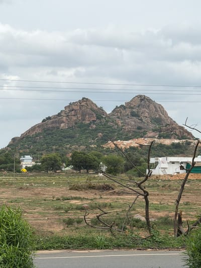 The image depicts a vast landscape featuring two prominent rocky hills in the background, covered with sparse vegetation. The sky above is overcast with heavy gray clouds. In the mid-ground, there is a residential area with several white buildings, some appearing to be under construction. In the foreground, a dry, barren field with scattered patches of green grass and bushes stretches out, bordered by a road. Several dead, leafless trees are visible in the foreground, their branches stark against the cloudy sky. The overall scene suggests a rural or semi-rural environment, likely on the outskirts of a settlement. The location is identified as Katavaram, India.
