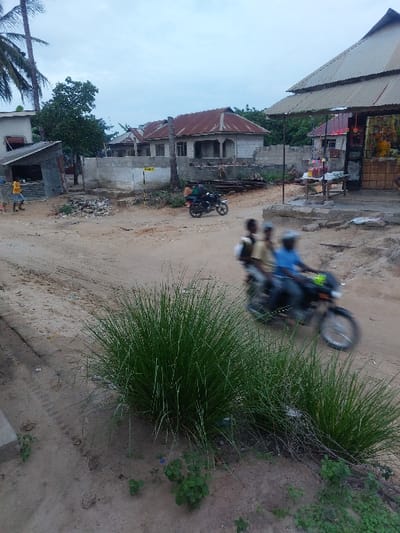 This image depicts a scene in Mwandege, Tanzania, characterized by an unpaved dirt road under an overcast sky. In the foreground, two prominent clumps of long green grass grow on the sandy ground, which exhibits tire tracks. To the immediate right, a blurred black motorcycle moves from right to left, carrying three individuals: a driver wearing a blue shirt and two passengers.
In the mid-ground, on the left, a person in a yellow shirt stands near a corrugated metal lean-to structure. Adjacent to this, a large, light-colored concrete building with a red corrugated metal roof appears to be under construction, lacking windows and doors. Piles of construction debris and wood are visible in front of it. A small yellow sign is affixed to a structure near this building. Further into the mid-ground, a second, less distinct motorcycle with two occupants is stationary or moving slowly near the unfinished building. On the right side of the mid-ground, a building with a distinctive multi-tiered corrugated metal roof functions as a shop or kiosk, displaying various items on shelves and a wooden stand in front.
The background reveals additional residential structures with similar roofing and scattered trees, suggesting a mixed-use urban or semi-urban environment.