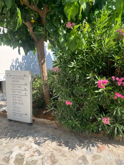 The image shows a signpost with directions in Panormos, Greece. The sign is white with black text and arrows. It indicates directions to "RECEPTION SHOPS", "123-142", "144-146", "201-252", "301-324", "PURE BLUE SPA", "POOLS", and "BEACH" with corresponding room numbers and directional arrows. The signpost is situated outdoors next to a tree with green leaves and a white wall in the background, partially obscured by foliage. Lush green bushes with pink flowers are also prominent in the scene. The ground is paved with stone tiles. No people are visible.
