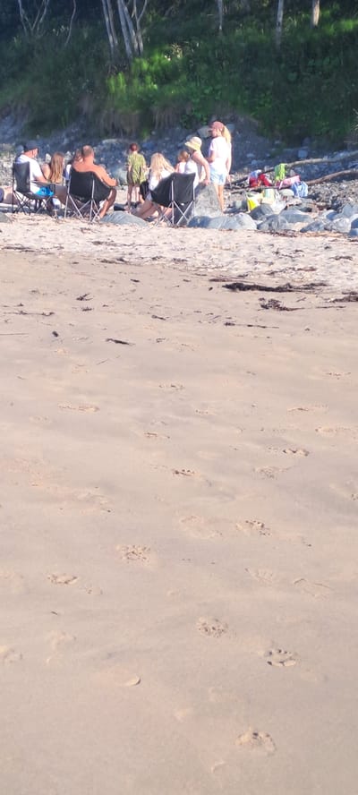 In Louisburgh, Ireland, a group of people is gathered on a sandy beach near a rocky shoreline. Several individuals are seated in beach chairs, facing a large rock. One person, wearing a white t-shirt and blue shorts, is seated in a black folding chair on the left. Next to them, a person in a black shirt and shorts is also in a black folding chair. A young child, wearing a green patterned shirt, stands near the rock. Another individual, in a white top and hat, is seated on the rock. To their right, a person in a pink t-shirt and shorts stands. In the background, there is dense green foliage and trees, suggesting a natural, undeveloped coastal area. Various items, including bags and towels in bright colors, are scattered on the rocks. The sand in the foreground is marked with numerous footprints, some appearing to be from both humans and animals. The lighting indicates it is daytime, with sunlight casting shadows.