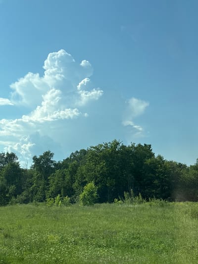 The image captures a serene rural landscape under a bright blue sky dotted with fluffy white clouds. A vast expanse of tall green grass, dotted with small white wildflowers, stretches across the foreground. Behind the field, a dense line of lush green trees forms a natural barrier, their varied shades of green creating a textured backdrop. The trees appear healthy and full, suggesting a warm and sunny day. In the upper portion of the image, dramatic cumulus clouds are visible, some towering majestically against the clear sky, hinting at possible atmospheric activity. The scene evokes a sense of peace and natural beauty, typical of a countryside setting.