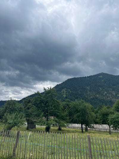 This is a photograph of a rural landscape in Ettal, Germany, under a dramatic, cloudy sky. The foreground is dominated by a rustic, wooden fence made of vertically placed, unevenly shaped posts. A thin blue cord is threaded horizontally through the fence in several places. Beyond the fence, a grassy field stretches out, dotted with small, green bushes and trees.
In the middle ground, several mature deciduous trees with full, green canopies are visible. Behind these trees, a small, weathered wooden shed stands. Further back, a low, textured wall runs horizontally across the scene, with some of the top crumbling. To the right of the wall, a single cow, predominantly white with brown patches, grazes in the field.
The background is a dense, green, coniferous forest that covers the slopes of a mountain. The mountain rises up to meet the sky, which is filled with heavy, dark grey clouds, suggesting an overcast or approaching storm. The overall impression is one of a tranquil, yet slightly foreboding, natural setting.