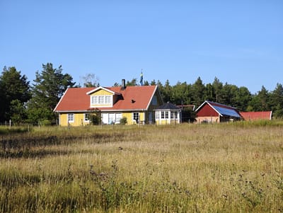 The image depicts a picturesque rural scene in Slaka, Sweden, under a clear blue sky. A bright yellow house with a red tiled roof stands prominently, featuring multiple white-framed windows and a charming white porch. Adjacent to the house is a dark-roofed gazebo with glass panes. To the right of the main house, a red barn-like structure with a red roof and blue solar panels is visible, also backed by a line of tall, green trees.

The foreground is dominated by a sun-drenched meadow filled with dry, golden grass and interspersed with small purple wildflowers, suggesting a warm, late summer or early autumn day. A simple wire fence runs across the middle ground, separating the meadow from the properties. The overall impression is one of tranquility and idyllic countryside living. The time of day appears to be late morning or early afternoon, given the bright sunlight and distinct shadows. There is a Swedish flag flying from a flagpole on the roof of the yellow house, indicating its location in Sweden. No people are visible in the image, and no text is present.