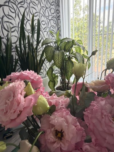 The image depicts an indoor scene with a bouquet of pink and pale yellow flowers in the foreground. Behind the flowers, several potted plants are visible, including snake plants and a large leafy plant. A window with vertical blinds is in the background, revealing a view of green trees and blue sky. The overall impression is one of a well-lit room, possibly a home or office. There is no specific information to suggest this location is in Ust'-Dzhigutinka, Russia.