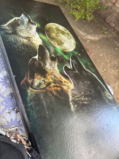 This is a medium close-up, high-angle shot of a rectangular object with a dark, textured cover that appears to be a book or a box. The cover features a vibrant, detailed illustration of three wolves howling at a large, pale yellow moon against a dark, starry sky with streaks of green aurora borealis. The wolves are depicted with realistic fur textures, open mouths, and intense expressions, suggesting a sense of wildness and primal energy. The moon is positioned in the upper left quadrant, while the wolves are spread across the cover, with their heads and upper bodies visible. The cover itself shows some signs of wear, with scratches and a slightly glossy finish that reflects the ambient light, creating a slightly hazy or ethereal effect in some areas.

In the background, the ground appears to be paved with weathered bricks, and there is a patch of green foliage to the left. The object is resting on a surface with a blue and white floral pattern, possibly a cloth or tablecloth. The bottom right corner of the image shows a black bag or purse with a set of keys and a carabiner attached, suggesting the object is being held or is part of a personal item. The lighting is soft, and there are no clear indicators of time of day or weather, other than the depicted night scene on the cover. The overall mood conveyed by the cover art is one of wilderness, mystery, and nocturnal power. There is no visible text in the image.