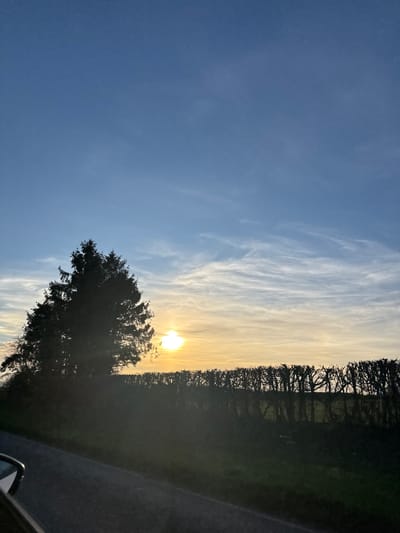 The image displays a rural landscape at either sunrise or sunset within the Wyre Forest, United Kingdom. The sky dominates the upper frame, transitioning from a clear blue overhead to a gradient of pale orange and yellow towards the horizon, with sparse, wispy cirrus clouds. A bright, circular yellow-orange sun is low in the sky, positioned to the right of a prominent, dark evergreen conifer tree silhouetted on the left side of the frame. A dark, dense hedgerow extends horizontally across the middle ground, bordering a grassy field. In the lower-left foreground, a section of an asphalt road is visible, along with the reflective glass and dark panel of a vehicle's side mirror, suggesting the photograph was taken from inside a vehicle. No individuals or specific actions are discernible.