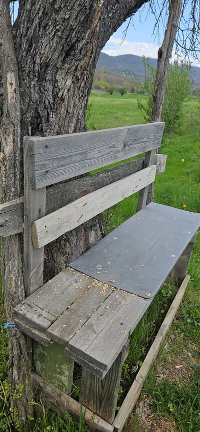 This outdoor image, taken in Drenkovo, Bulgaria, captures a rural scene centered around a large, ancient tree trunk with deeply fissured, dark bark. Leaning against or integrated with the tree trunk is a makeshift structure composed of various weathered wooden planks.
Several planks are visible in the foreground; some are greyish and show prominent grain and nails, while another is lighter in color. A dark grey corrugated plastic sheet, secured by circular fasteners, covers a section of the wooden framework. This sheet and the surrounding wooden surfaces are dusted with wood shavings and sawdust, suggesting recent cutting or construction activity. Beneath the plastic sheet, a piece of wood with peeling green paint is visible.
The background reveals expansive green fields and meadows, leading to undulating hills or mountains under a bright blue sky dotted with scattered white clouds. The clear light indicates a daytime setting with fair weather.
Closer inspection of the ground around the wooden structure reveals signs of human presence, including a discarded cigarette butt and a shard of broken glass among the green grass. A piece of blue string or rope is also partly visible near the base of the tree. No visible text is present in the image.