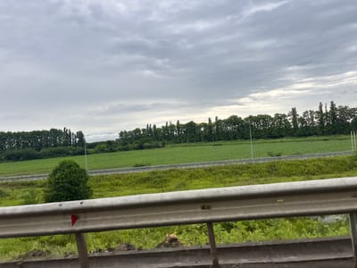 The image captures a roadside view from the perspective of a vehicle, looking across a grassy embankment towards a green field bordered by trees under a cloudy sky. In the foreground, a silver metal guardrail with visible rivets and a small red triangular object attached is prominent. Beyond the guardrail, an area of lush green grass and vegetation leads to a wider, bright green field, likely cultivated crops. A light-colored road or highway runs parallel to the field, separated by a grassy strip with occasional lighting poles. A line of dark green trees forms a dense background along the horizon. The overall scene suggests a rural or semi-rural setting, possibly along a highway in the vicinity of ნიგოითის თემი, Georgia, given the characteristic landscape features of the region. The lighting indicates an overcast day. No people or specific actions are visible.