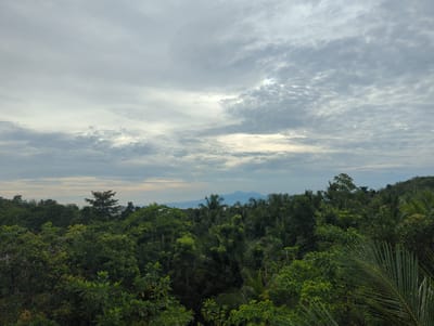 The image presents a vast, serene landscape dominated by lush tropical vegetation under an overcast sky in San Juan, Philippines. The lower two-thirds of the frame are filled with a dense, unbroken canopy of vibrant green trees and plants, including numerous palm trees and other broadleaf species, suggesting a thriving forest or jungle environment.

In the mid-distance, faint outlines of towering mountains are visible against the horizon, their peaks soft and hazy, hinting at a significant geological feature. A narrow strip of water, likely the sea or ocean, can be discerned between the foreground foliage and the distant landmass. The sky above is entirely covered with thick, multi-layered clouds, ranging from uniform grey stratus to more textured and broken cloud formations, indicating an overcast day.

The lighting is soft and diffused, creating a calm and tranquil atmosphere without direct sunlight. The scene appears untouched by human activity, with no people, structures, or discernible events taking place. The time of day is likely early morning or late afternoon due to the gentle illumination. The prevailing colors are various shades of green for the foliage, with muted blues and greys for the distant mountains, water, and sky. No text is visible in the image.