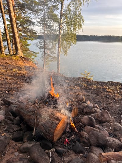 A campfire burns on the rocky shore of a lake, with trees lining the embankment and a forest in the background. The sky is overcast and the water is calm. The scene is tranquil and secluded, likely in a natural area.