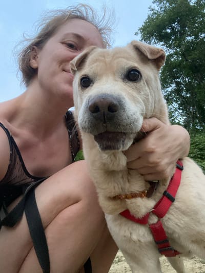 In Lipniki, Russia, a young woman with light brown hair is pictured taking a selfie with her dog. The dog, a light-colored breed with floppy ears, is in the foreground, looking directly at the camera. The woman is partially visible on the left side of the frame, smiling and holding the dog close. She is wearing a black top with lace detailing. The dog is wearing a red harness with black accents. The background consists of lush green trees and a cloudy sky, suggesting an outdoor setting, possibly a park or a natural area. The overall scene is casual and affectionate, capturing a moment between a person and their pet.