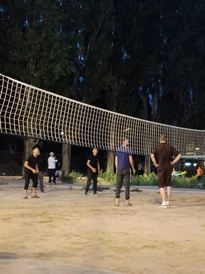 In an outdoor volleyball court at dusk, five individuals are engaged in a game. A tall, white volleyball net dominates the foreground, stretched across the frame. The court itself is sandy, with a few scattered leaves. Behind the net, a dense line of tall trees forms a dark backdrop, their foliage illuminated by faint artificial lights.

On the court, from left to right, a young man in a black t-shirt and black pants is looking towards the net, his body poised as if ready to play. Next to him, another person, partially obscured, wears black pants. A man in a white t-shirt and cap stands between them, looking at something off-camera. To the right, a man in a black t-shirt and black pants is in a similar ready stance. Further to the right, a man in a dark brown t-shirt and shorts faces away from the camera, his hands on his hips, observing the game.

In the background, beyond the players and the net, more trees and some faint lights are visible. A small, yellow playground structure and a person in an orange shirt are barely discernible in the distance to the far right. The overall impression is of a casual evening game of volleyball in a park-like setting. The lighting suggests it is either twilight or nighttime, with artificial illumination enhancing visibility. The mood appears relaxed and focused on the sport. No visible text is present in the image.