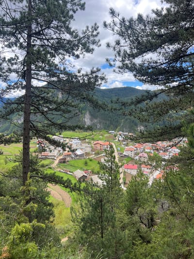 The image shows a view of a village nestled in a valley, likely Giovren in Bulgaria, as suggested by the prompt. The perspective is from above, partially obscured by pine tree branches. The village consists of buildings with red-tiled roofs and lighter-colored walls. There are roads winding through the village. Green fields and vegetation surround the village. In the background, a forested mountain rises. The sky is visible through gaps in the trees, with patches of blue and white clouds.
