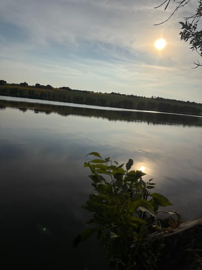 A serene lake reflects the sky, with a bright sun high and to the right, casting a luminous glow. A line of trees and rolling hills, possibly agricultural fields, borders the far side of the water. In the foreground, a lush green plant with several leaves is prominent on the right, partially obscuring the dark water. The overall scene suggests a natural landscape in the vicinity of Tătărăști, Moldova, during daylight hours.