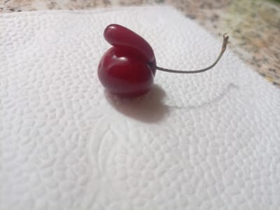 A single, unusually shaped cherry with a stem rests on a textured white paper napkin. The cherry is a deep red color and appears to be a single fruit that has fused or grown in an atypical manner, with one part resembling a distinct protrusion. The stem is thin and light brown, extending to the right. The background is out of focus but appears to be a speckled surface, possibly a countertop. The lighting suggests an indoor setting with a light source from the top right. This image does not depict any location within the city of Labinsk, Russia.