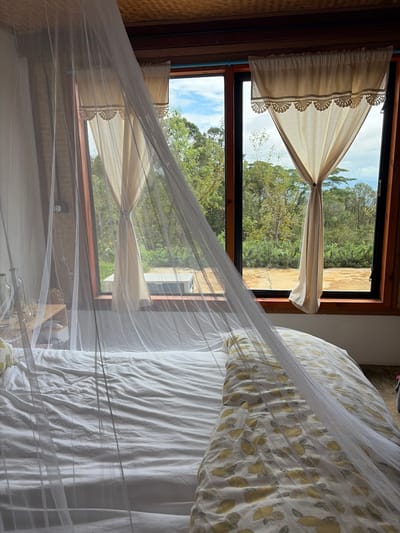 The image depicts the interior of a bedroom, likely in a bungalow or guest house, with a prominent view of the natural landscape outside. The room features a bed covered with white linens and a pillow with a yellow and white lemon pattern. A sheer white mosquito net is draped over the bed, obscuring parts of the view.

Through a large window with wooden framing, a lush green forest and trees are visible under a partly cloudy sky. The window is partially covered by beige curtains with decorative lace trim. In the middle ground outside the window, there appears to be a concrete patio area and what could be an outdoor air conditioning unit. The ceiling of the room is made of woven material. The overall impression is one of a simple, tranquil accommodation with an emphasis on outdoor views. The location is identified as Ban Khun Wang, Thailand. There are no people or actions captured in the scene.