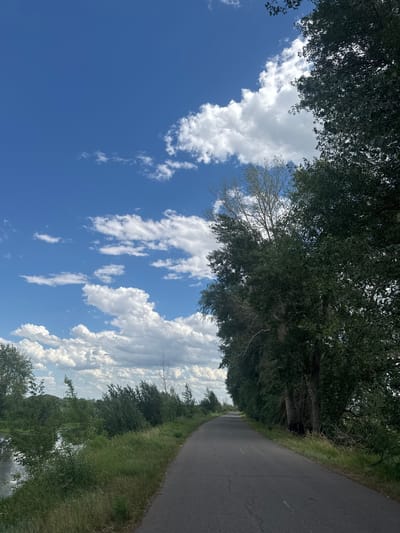 The image depicts a rural road in Chernoyarka, Kazakhstan, on a bright, sunny day with scattered white clouds against a blue sky. The road, made of asphalt and showing some signs of wear, curves gently to the left, leading away from the viewer. On the right side of the road, a dense line of tall, green trees forms a natural barrier. The left side of the road is bordered by a grassy verge and a body of water, possibly a river or lake, with more green vegetation and trees in the distance. The overall scene is serene and natural, characteristic of a countryside setting. No people or animals are visible in the image.