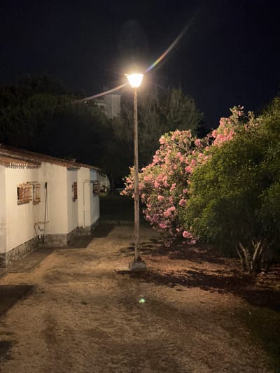 An outdoor, medium-shot, nighttime photograph shows a lit lamp post standing in front of a white building with a red tile roof. The building has barred windows and a single door. Behind the building are dark trees and a lighter-colored structure in the distance. To the right of the lamp post is a bush with pink flowers and a large green tree. The ground in the foreground is dirt with scattered leaves and debris. The sky is dark blue, and a rainbow-like streak of light emanates from the lamp post.