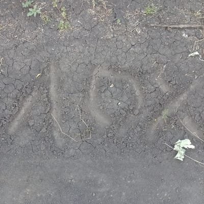 The image shows a close-up, top-down view of cracked, dry earth with faint markings that resemble letters. The soil is dark gray and appears to be a dirt path or barren ground. Sparse, dried vegetation and small green shoots are visible interspersed in the soil. In the upper left corner, a few small green plants are present. Towards the right side of the image, a cluster of dry, pale green leaves rests on the ground. The prominent feature is a series of impressed marks in the dirt, forming what appears to be the letters "L O X". These marks are lighter in color than the surrounding soil, indicating they were made by disturbing the surface layer. The overall impression is of an outdoor, uncultivated area, possibly a pathway or an unused plot of land. The location in Slobidka, Ukraine is not directly discernible from the visual evidence alone but is provided as context.