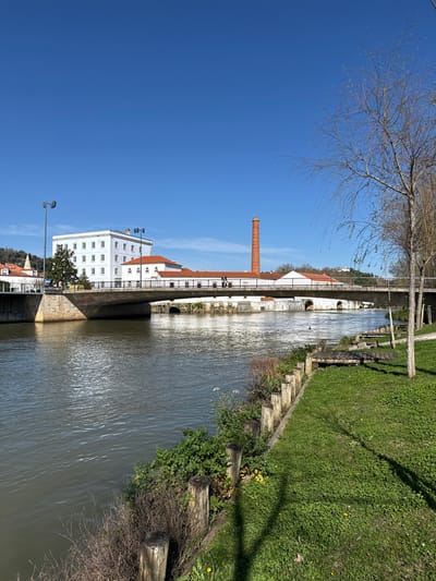 This image captures a daytime scene along the Nabão River in Tomar, Portugal, specifically depicting the area near the Complexo Cultural da Levada and the former Fábrica de Papel do Prado. The environment is characterized by a clear, bright blue sky dominating the upper portion of the frame.

The foreground on the right features a grassy bank covered in lush green, clover-like vegetation. A line of weathered, dark wooden posts marks the edge of the bank along the river. Behind these posts are scattered green bushes and sparse dry vegetation. Two wooden, slat-style reclining benches or chairs are present on the grass, facing the river. A bare-branched deciduous tree is partially visible on the far right, casting a distinct shadow across the grassy area.

The Nabão River occupies the midground, flowing from left to right. Its surface is rippled and reflects the blue sky, with the water appearing murky green-brown. A multi-arched concrete and stone bridge crosses the river, featuring a gray metal railing along its top. Below the bridge, on the far bank, water flows through additional arches, indicating a weir or dam structure.

On the left bank, beyond the bridge, stands a large, multi-story white building with numerous white-framed windows and an orange-tiled hip roof. To its immediate right, connected by a lower, elongated building with a red-tiled roof, is a tall, slender, red brick industrial chimney. Two streetlights with dual lamps are visible near the white building. Two indistinct human figures are walking eastward on the pedestrian walkway of the bridge. In the far background, on the upper left, green hills with some smaller white structures are visible. Sunlight is strong, casting clear shadows, indicating a sunny day.