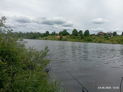 The image shows a tranquil lake scene with lush green vegetation in the foreground and on the opposite bank. Several houses are visible on a gentle slope across the water, interspersed with trees. The sky is overcast with scattered clouds, suggesting a cloudy or perhaps a slightly drizzly day. A fishing rod is set up in the foreground, pointing towards the water, indicating someone is fishing. The water's surface is rippled, reflecting the muted light. The overall mood is peaceful and serene. The date and time "24.06.2026 12:52" are visible in the lower right corner. The location is contextualized as Пятрышкаўскі сельскі Савет, Belarus.