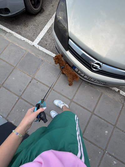 In Nea Moudania, Greece, a person is standing on a sidewalk next to a parked car. The person is wearing a green skirt with white stripes, a pink shirt, and white sneakers. They are holding a blue retractable leash with keys attached. A small brown poodle is on the leash, standing near the front bumper of the silver car. The sidewalk is made of grey square tiles. The car has a Greek license plate that reads "ZT-6376".