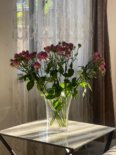 The image displays a bouquet of pink spray roses in a clear glass vase, positioned on a reflective surface that appears to be a table with a white marble-like top. The vase and flowers are set against a backdrop of layered curtains: a dark, textured drape on top, followed by a sheer lace curtain with an intricate pattern. Light streams in from the left, casting shadows on the vase and the marble surface, suggesting it is daytime, possibly morning or afternoon. The scene is indoors, with the window behind the curtains allowing some diffused light to illuminate the flowers and the lacy curtain pattern. The overall mood is serene and perhaps a bit delicate, highlighted by the soft pink of the roses and the intricate lace. There are no people or visible text in the image. The context provided indicates the location is Nor Kharberd, Armenia.