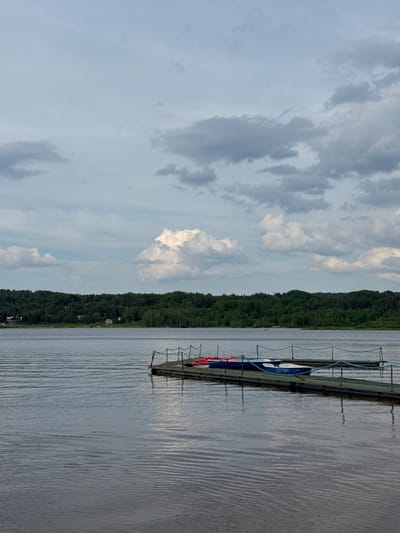 The image depicts an overcast day over a wide body of water, described as a lake or reservoir, consistent with the area around Svetloe, Russia. The sky occupies approximately the upper third of the frame, filled with a mixture of grey and white cumulus and stratocumulus clouds, casting diffuse light over the scene. The horizon features a dense, dark green forest that stretches across the entire width of the image, with a few small residential buildings faintly visible nestled within the trees on the far left. The water surface is calm, exhibiting gentle ripples, and reflects the muted tones of the sky. In the foreground and mid-ground, a dark-colored floating dock, constructed from modular sections, extends from the right edge of the frame towards the left. It is equipped with a light blue rope serving as a railing, supported by slender posts. Five small recreational boats are moored along the dock: one red, two blue, and two white, suggesting they are rental or leisure craft. The scene is devoid of people or active interactions, conveying a quiet, natural landscape with subtle human presence.