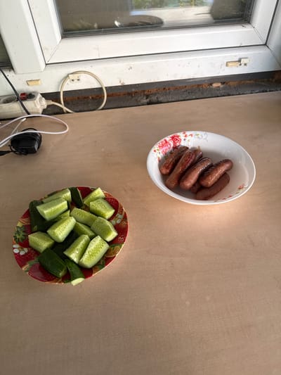 This image shows two plates of food, one with sausages and the other with chopped cucumbers, placed on a light brown surface. The plate of sausages is white with a floral pattern of pink roses and green leaves. The sausages are browned and appear to be cooked. The plate of cucumbers is red and features a strawberry pattern with white flowers. The cucumbers are chopped into bite-sized pieces and are glistening with moisture.
To the left of the plates is a white window frame with a glass pane. A black electrical cord is coiled and attached to a white plastic fitting on the window frame. Another white electrical cord is connected to a white power strip with red and black switches. A black power adapter is also visible. The overall setting appears to be outdoors, possibly in a yard or on a patio, given the presence of a window and electrical equipment that might be used for outdoor activities. The lighting suggests it is daytime, and there are shadows indicating sunlight.
There is no visible text in the image. The image captures a simple meal preparation scene, with the food neatly arranged. The overall impression is one of a casual outdoor setting.