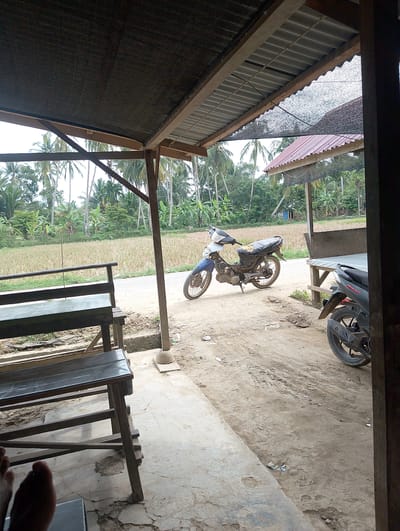 This image depicts an outdoor scene in Matangraya Barat, Indonesia. In the foreground, a simple wooden bench with a dark seat is visible. To the right of the bench, a dirt and concrete ground area is present, with two motorcycles parked. The first motorcycle, a blue and white model, is positioned further back, appearing to be an older model with a worn seat. The second motorcycle, a darker color with "Beat" branding visible on the rear fender, is closer to the right edge of the frame.

Beyond the immediate area, a rice paddy field stretches into the distance, surrounded by lush green vegetation and numerous palm trees characteristic of the tropical landscape. The sky appears overcast. The scene is viewed from under a rustic shelter with a corrugated metal roof and wooden beams, covered by a dark mesh material. The overall impression is a rural or semi-rural setting, possibly a rest stop or a casual gathering place.
