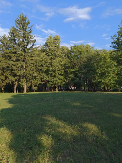 This is a vertically oriented, wide-angle photograph of a park-like setting with a bright blue sky dotted with white clouds. The scene is divided into two main areas: on the left, a dense line of trees, and on the right, a well-maintained grassy area. The trees vary in species, with a tall, prominent evergreen on the far left and a mix of deciduous trees further to the right, forming a dense canopy. Some of these trees appear to be mature.
The grassy area is a vibrant green and exhibits dappled sunlight, suggesting it is daytime. Shadows from the trees are cast across the lawn, indicating the sun's position. The grass itself appears to be a mix of mown lawn and areas with slightly longer grass and some wildflowers, hinting at a natural or semi-wild environment. In the background, through a gap in the trees, some buildings and possibly vehicles are faintly visible, suggesting the park is near a residential or urban area.
The overall impression is one of a peaceful, sunlit day in a natural outdoor space. The lighting suggests it could be late morning or afternoon, given the presence of distinct shadows. There is no visible text in the image, and no people or specific objects are clearly identifiable, making it a generalized landscape. The photograph captures a serene moment in a park in Zalishchyky, Ukraine.