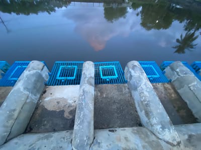 The image shows a concrete structure with a series of blue metal grates leading to a dark body of water. The grates are spaced evenly along the concrete edge. The water's surface reflects the sky and surrounding trees, including a palm tree on the right. The concrete appears weathered and stained. This scene is likely part of an infrastructure at a water body or canal in Aneuk Paya, Indonesia, possibly serving as a drainage or water flow control point. There are no people or animals visible in the image.