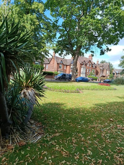 This is a medium-angle, eye-level, vertical, full shot of a park area with a line of brick buildings in the background. The foreground is dominated by a lush green lawn scattered with fallen leaves. To the left, a large, spiky plant with long, green leaves and dry, brown foliage at its base occupies the lower left corner of the frame.
In the middle ground, a well-maintained lawn features a flowerbed with small purple and pink blooms. Behind the flowerbed, a black fence borders a sidewalk. A dark blue sedan and a black van are parked on the sidewalk, with another black car visible further down.
The background showcases a row of ornate, red brick buildings with white-trimmed windows and dark roofs. Architectural details include gables and chimneys. Large, mature trees with dense green foliage arch over the scene, casting dappled shadows on the lawn.
The time of day appears to be daytime, with bright sunlight suggesting a clear or partly cloudy sky. The presence of fallen leaves on the lawn hints at autumn, though the lush greenery of the trees suggests it could also be late summer. The scene evokes a peaceful, suburban atmosphere in Bedford, United Kingdom. There is no visible text in the image.
