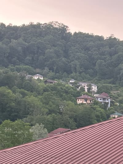 The image depicts a hillside covered in dense green foliage, with several houses nestled among the trees. The houses appear to be of varying sizes and architectural styles, some with multi-story structures and pitched roofs. A portion of a corrugated metal roof, colored a reddish-brown, occupies the right side of the frame, suggesting the viewer is looking from the perspective of a nearby building. The overall scene is set against a pale, overcast sky, indicating it may be early morning or late afternoon, or simply a cloudy day. The lush greenery and the presence of scattered residences suggest a semi-rural or suburban setting in a temperate climate. The image seems to be taken from an elevated position, looking down on the houses and the forested hillside. There is no discernible activity taking place, and the atmosphere is serene and still. No text is visible in the image. The location context provided is Krayevsko-Armyanskoye, Russia.