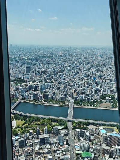 The image is a high-angle aerial view of a densely populated city, likely Tokyo, Japan. A wide, dark blue river runs horizontally across the middle of the frame, with a modern bridge spanning its width. The riverbanks are lined with green trees and park areas. Beyond the river, the city stretches as far as the eye can see, a vast expanse of buildings of varying heights and architectural styles. The buildings are predominantly gray, white, and blue, with many featuring flat roofs. Some taller skyscrapers are visible in the distance, their tops blurred by haze. The sky is a pale blue with a few wispy white clouds. The overall impression is one of urban sprawl and a busy, developed cityscape. The presence of a baseball field on the right side of the frame suggests a recreational area within the urban environment. The frame is partially enclosed by a dark, vertical element on the left and right, possibly a window frame of a tall building or observation deck. The lighting suggests it is daytime, with the sun casting shadows that are not strongly defined, indicating possibly overcast or hazy conditions.