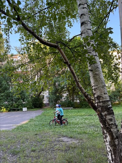 A young person wearing a blue t-shirt and a blue baseball cap is standing next to a red bicycle on a grassy area. The bicycle has white handlebars and a black seat. The scene is outdoors, with a large tree trunk in the foreground, its bark a mix of white and black. Green leaves from the tree canopy are visible overhead, with glimpses of blue sky. In the background, there are buildings and more trees. The ground is covered in green grass, with some patches of small white flowers. A paved path runs alongside the grassy area. The image is taken in daylight, likely during the day, with soft lighting. The overall atmosphere appears casual and relaxed, possibly a park or residential area. No visible text is present in the image. The location is identified as Sarov, Russia.