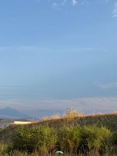 This is a vertically oriented, outdoor photograph taken on a bright, clear day. The majority of the image is dominated by a vast expanse of light blue sky with a few wispy white clouds scattered across it. A faint vertical line, possibly a power line, is visible in the middle ground. To the right, a dense patch of green bushes and dry grass creates a stark contrast to the open sky. The vegetation is dry and sparse in some areas, suggesting a possibly arid or late-summer environment. In the far background, the hazy outlines of distant hills or mountains are visible, softened by atmospheric perspective. The sun appears to be high in the sky, casting a bright light and minimal shadows. The overall impression is one of a rural or natural landscape, possibly a field or hillside on the outskirts of Miriantsi, Bulgaria. There is no visible text in the image.