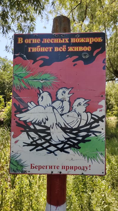 A weathered sign with an illustration of baby birds in a nest is mounted on a wooden post. The sign has a red background with green branches and depicts three white birds with their mouths open. Text in Russian is present on the sign. The top line reads "В огне лесных пожаров" (In the fires of forest fires) and the second line reads "гибнет всё живое" (everything alive perishes). The bottom line reads "Берегите природу!" (Protect nature!). The sign shows signs of age and damage, including cracks and what appear to be bullet holes. The background consists of lush green foliage and trees under a bright sky, suggesting an outdoor, natural setting. This sign is located in Mikhaylovka, Russia.