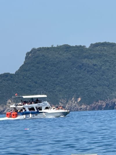 A white tourist boat with a blue stripe is navigating through blue water. The boat is filled with passengers who are standing and sitting on its upper deck. On the port side of the boat, there are two orange life preservers. The name "DELFIN" is visible on the side of the boat. A red flag is flying from a pole on the upper deck. The boat is moving from left to right, creating a wake. In the background, a large, green, tree-covered island rises from the water. The sky is clear and light blue. The location is the waters surrounding the island of Košljun, Montenegro.