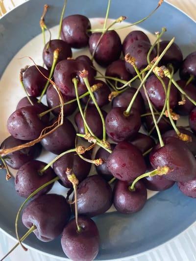 A close-up, overhead shot shows a pile of dark red cherries with green stems resting in a shallow bowl. The bowl has a blue rim and a white interior with a subtle striped pattern. The cherries are wet, indicating they may have been recently washed, and some have small water droplets visible on their surfaces. The lighting is bright, casting soft shadows among the cherries. The image is a still life, focused entirely on the fruit. There are no people or any other objects visible in the scene. The location in Punta Ala, Italy, is not depicted in the image.