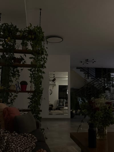 The image depicts a dimly lit residential interior within the Arvot Hayarden Regional Council, Palestinian Territory, captured from a low perspective, likely from a sofa. In the immediate foreground, to the left, a section of a dark-colored sofa is visible, covered by a leopard-print blanket, with a bare human foot partially present. Above the sofa, a multi-tiered wooden shelving unit suspended by chains from the ceiling is densely populated with various potted plants, many exhibiting trailing vines. One shelf holds a red pot, a white vase, and an item draped with what appears to be an Israeli flag. To the right, a dark wooden coffee table supports a black water bottle and a clear glass vase containing a floral arrangement of red roses, white filler flowers, and green foliage.
The background features a tall, rectangular mirror reflecting a brighter adjacent room, revealing a wall clock with Roman numerals, a hanging decorative item, and a gray armchair. To the right of the mirror, a modern, open-tread staircase with dark metal railings ascends. Additional greenery and plants are situated near the base of the staircase. The white ceiling displays a large, dark-rimmed circular light fixture and a smaller, multi-arm chandelier-style fixture further in the distance. The overall scene is characterized by dim, ambient lighting, indicating an evening or nighttime setting. No individuals are explicitly visible in the primary scene.