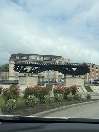 The image, captured from a vehicle, presents a street view in Drobeta-Turnu Severin, Romania, under a cloudy, overcast sky. The central focus is a large, dark, curved architectural structure, resembling a section of a lattice-work bridge, possibly a replica of Trajan's Bridge or the "Eiffel Bridge" located in the city. Its dark, almost charred appearance and intricate grid pattern stand out against the backdrop of urban buildings.
Several multi-story buildings with light-colored facades, numerous windows, and balconies are visible behind and around this structure, suggesting a residential or commercial area. To the right, a paved road or driveway with a concrete curb separates the street from a landscaped strip. This strip features patches of green grass and several decorative bushes with a mix of red and green foliage. The scene is static, devoid of people or discernible activity. The cloudy sky indicates a daytime setting without direct sunlight. No visible text is present in the image.