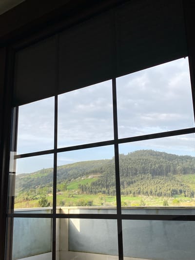 The image is taken from inside a building looking out through a window with a grid pattern. The view outside is of a landscape featuring a hillside covered in trees and green fields. The sky is overcast with clouds. A portion of the window is obscured by a lowered blind or shade. The location is inferred to be Villaviciosa, Spain, based on the prompt. The interior appears to be a room with a simple, undecorated wall visible on the right. There are no people visible.