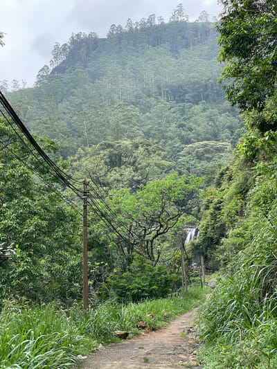 The image depicts a lush, mountainous landscape in Ramboda, Sri Lanka. A narrow, paved pathway runs along the right side, bordered by tall, green grass. Dense forest covers the hillside, featuring various shades of green. A small waterfall is visible in the distance. Utility poles and power lines cut across the view. The sky appears overcast.