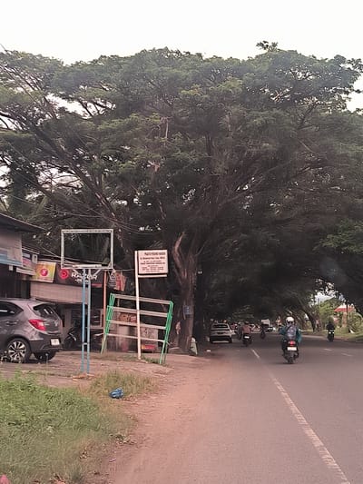 The image captures a roadside scene in Ujong Duabelas, Indonesia, characterized by a dense canopy of large, mature trees arching over the road, providing significant shade. The sky above the tree line is bright and overcast, indicating either an overcast day or possibly late afternoon lighting, as strong shadows are absent.
On the left side of the frame, a gray hatchback car is parked next to a commercial building. The building features several signs, including one with "RAZOR" clearly visible. An empty metal advertising frame stands upright, and next to it is a green metal display rack. The ground leading up to the building is a mix of dirt and overgrown grass, with a blue plastic bag discarded nearby.
The asphalt road, marked by a white dashed line, occupies the right side of the image and extends into the background. Several people are riding motorcycles away from the viewer. One rider in a light blue/green jacket and a white helmet is prominently featured in the foreground. Other motorcycles and a white car can be seen further down the road, all traveling beneath the extensive tree cover.
A white sign with black text is mounted on a pole near the empty metal frame. The visible text reads: "PUSKESMAS KELILING" (Mobile Community Health Center) and "dr. Muhammad Reza, S. Ked. CM. CCM," followed by additional, less legible details, likely contact information or operating hours. The scene depicts a typical daily activity along a shaded street, with traffic and roadside businesses under a lush, green tree canopy.