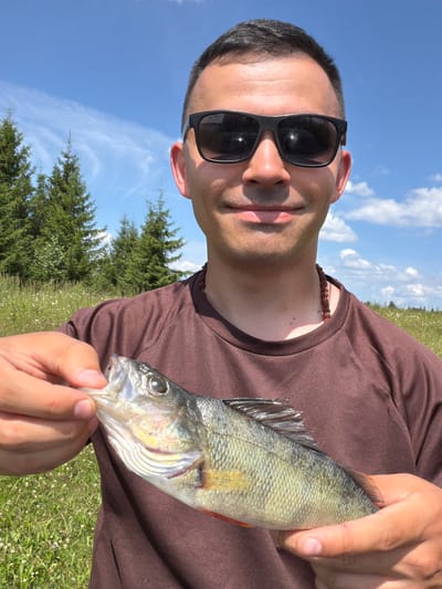 A close-up, slightly angled, eye-level selfie shows a man holding a small fish in his hands. The man, who is partially obscured by the fish and his own hands, is wearing a brown t-shirt and black sunglasses. He has short, dark hair and is smiling. The fish, which appears to be a perch, is silver-green with dark stripes and is being held by its mouth. The background is a bright blue sky with scattered white clouds, and a field of green grass with scattered white flowers. In the distance, several tall, dark green pine trees are visible. The overall scene suggests an outdoor activity, possibly fishing, in a rural or natural setting. The location is specified as Podshivalovo, Russia.