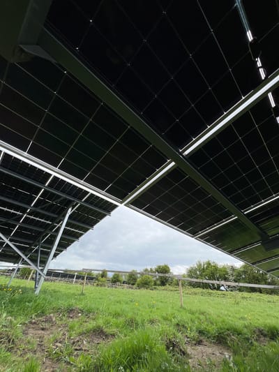 The image shows a low-angle view of a solar panel array in a grassy field. The panels are dark and reflective, with visible grid lines. The supporting structure is metallic and appears to be made of steel. The ground is covered in green grass with sporadic yellow flowers. In the background, a line of trees and a partly cloudy sky can be seen. The ground also shows the presence of mud and possible tire tracks. Based on the presence of solar panels in an open field, the location is likely rural. Specific information from the description, such as the city of Grange Ville, Ireland, does not significantly alter the visual description of the scene as depicted.
