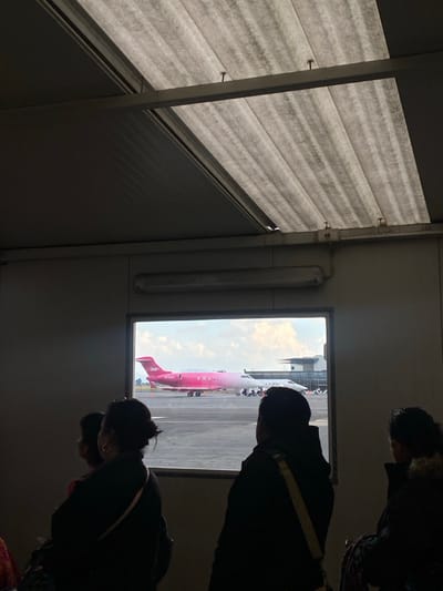 From an airport terminal window, a bright pink Viva Aerobus airplane sits on the tarmac. Several people stand, looking out at the plane. Inside the terminal, corrugated metal and a fluorescent light are visible on the ceiling. The scene is shadowed, contrasting with the bright view of the airplane outside.