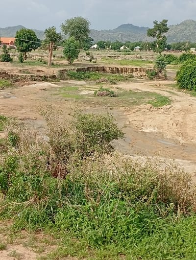 This is a landscape image captured in Shuwa, Nigeria, depicting a dry riverbed or eroded land with sparse vegetation and distant hills. The terrain is characterized by exposed soil, sandy banks, and some areas of dried mud. The foreground is dominated by green grasses and bushes, with some taller, dry-looking plants interspersed. In the middle ground, the eroded landscape features distinct layers of soil, suggesting significant water flow and erosion over time. There are several scattered trees of varying sizes across the scene. In the background, rolling hills are visible under a cloudy sky. A few buildings, including what appears to be a building with an orange roof on the far left and some smaller structures with white roofs further in the distance, suggest the presence of a settlement. There are no people visible in the image. The overall impression is one of a rural, semi-arid environment undergoing natural erosion.